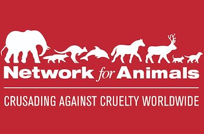 silhouettes of various animals on top of the words network for animals